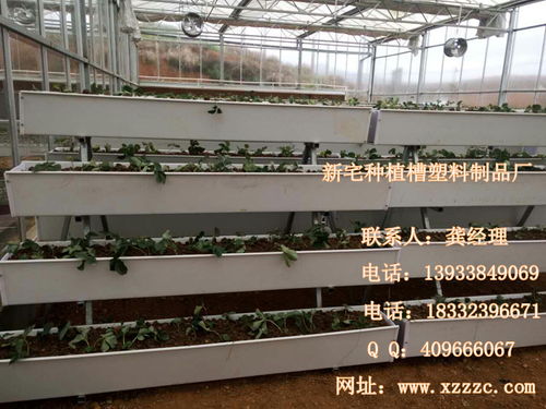 圖片,海量精選高清圖片庫(kù) 河北新宅雞槽塑料制品廠